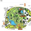 올림픽공원-몽촌역사관 이미지