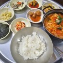 동대참치