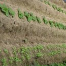 KIM&KIM FARM 이미지