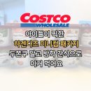 아이들이 픽한 코스트코 하겐다즈 미니컵 패키지 후기