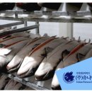 2월 중 노르웨이산 수산물 수입량 50% 감소…금액은 누적 기준 5% 증가 이미지