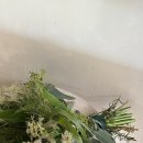 민주스튜디오 | [공지] 🕊️Wedding 17 l [스튜디오촬영] 플라츠스튜디오 촬영후기