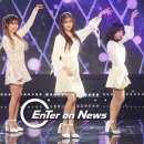 큐리독