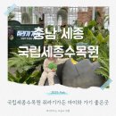 도피오커피독립 | 국립세종수목원 삼일절 무료개방 사계절온실 아이와 가기 좋은 곳