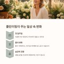 클린하루