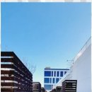 신도시부동산중개 이미지