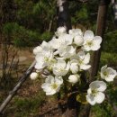 열창노래방 이미지