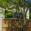 스테이우드 이미지