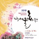 제주와요 이미지