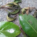 남천중학교 이미지