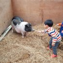 늘푸른농원 이미지