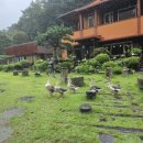 담소원펜션 이미지