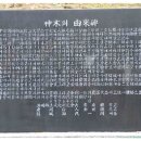 충남 홍성군 결성면 587세 된 홰나무 신목대재(神木大齋) 참여기 이미지