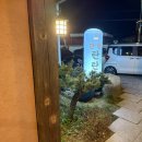 단밀밥집 | 김천 교동 단밀 방문후기