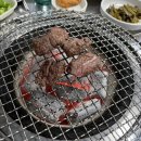 창녕시골한우 이미지