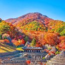 이색적인 가을의 풍경을 품은🍁 경남 하동 #삼성궁﻿ 이미지