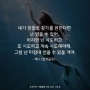 리치박