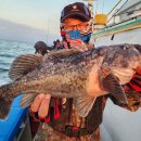 서망항2 이미지