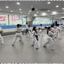 경희대인성태권도장 이미지