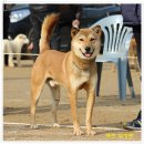 비상초등학교 이미지