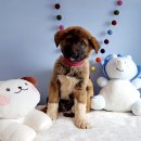 보승공업사 이미지