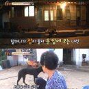 거부농장 이미지