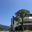 남해-240 | 아기랑 함께 여행👼🏻 l 쏠비치 남해 숙박후기