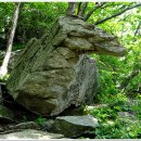 운교1리 이미지