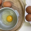 청미래농장 이미지