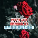 멋진하루 이미지