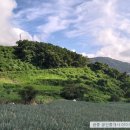 개매기체험장 이미지