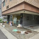 멍아지트 이미지