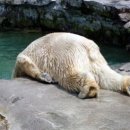 파리휘트니스 이미지