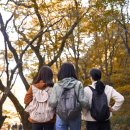 스마트폰 활용법 이미지