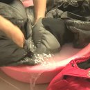 참 좋은 세탁 이미지