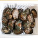 완도전복 이미지