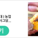 농업회사법인 주식회사 사그담