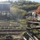 대원농장2 이미지