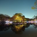 요가(야간) 이미지