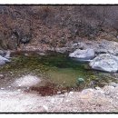 미사리촌집 이미지