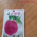 서리가 이미지