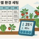 보광팜 | 작물별 환경 세팅: 토마토, 상추, 딸기