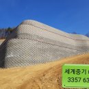세계로임대중기