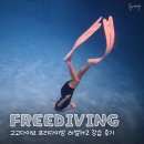 짐퍼스트올림픽공원 | 프리다이빙 강습 자격증 고고다이브 레벨1+2 서울 잠실 재도전 후기