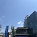 174 | 템플스테이 남양주 묘적사 체험형 다녀온 후기 고양이와 마음 힐링하고 싶다면 강력추천