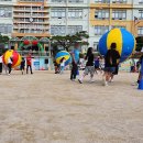 부산 초등학교 운동회 : 신평초등학교 운동회 (10/15) - ☆튼튼☆체육 &amp; 이벤트 행사 이미지