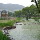 대가연꽃테마공원 이미지