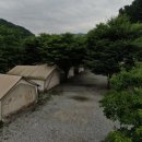 세라핌캠프 | 자연 속 힐링을 만끽한 세라핌캠프 글램핑 후기