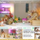 힐링캐터리 이미지