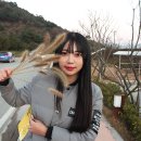 봉하마을 공영주차장　 이미지